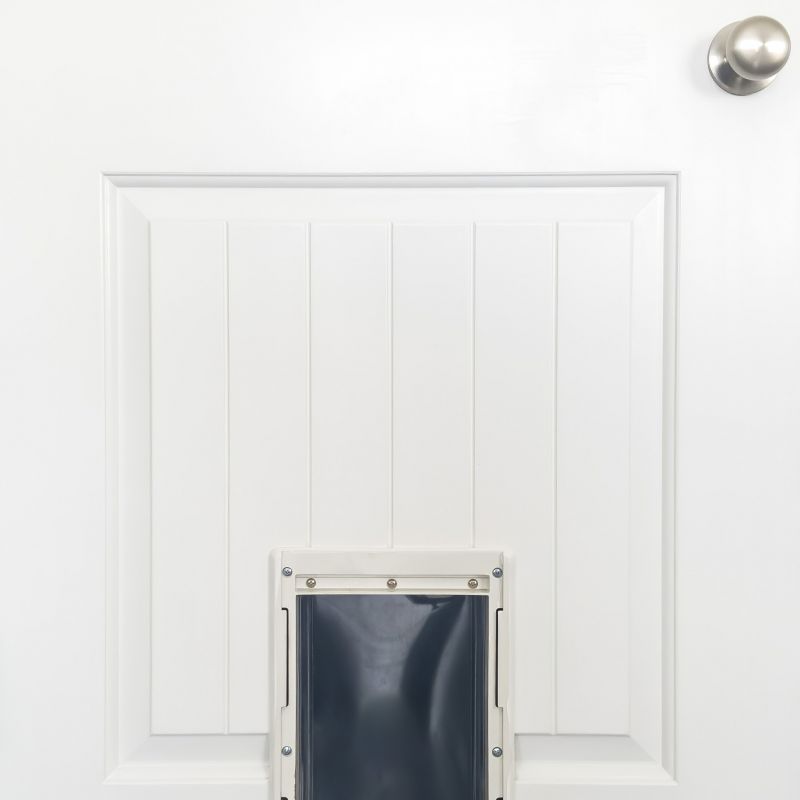 Wall Dog Door Installation